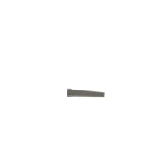 237961592.jpg