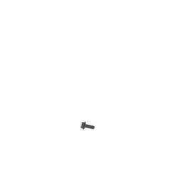 237961607.jpg