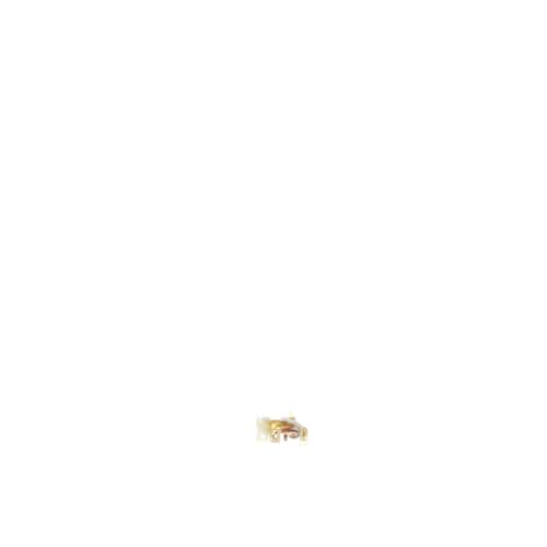 237961620.jpg