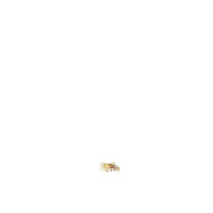 237961620.jpg