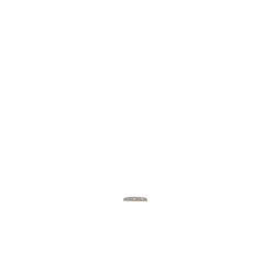 237961630.jpg