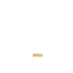 237961651.jpg
