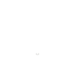 237961706.jpg