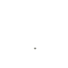 237962030.jpg