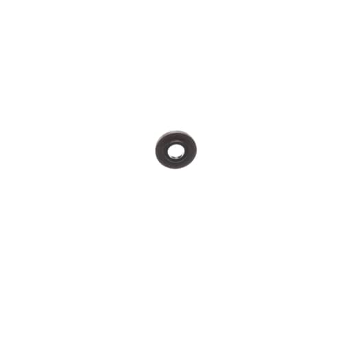 237962205.jpg