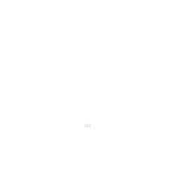 237962565.jpg