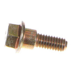 237963312.jpg