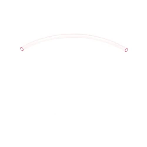 238652056.jpg