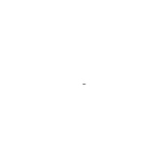 238685908.jpg