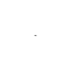 238685961.jpg