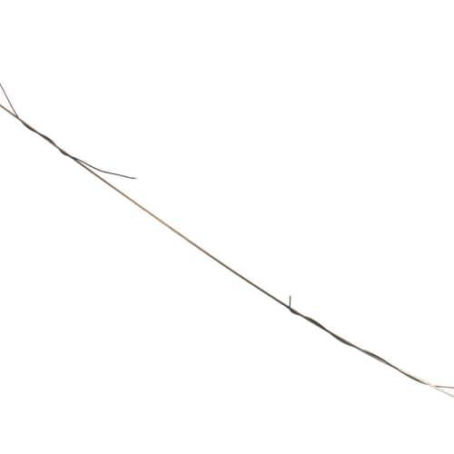 238689167.jpg