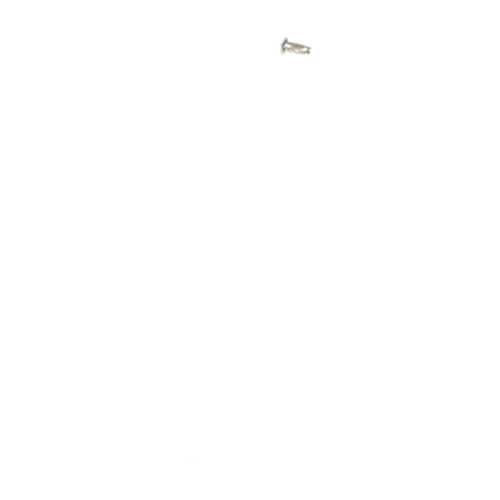 238700549.jpg