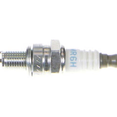 239054549.jpg