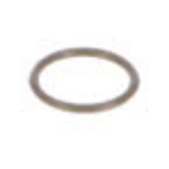239054800.jpg