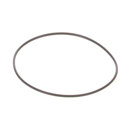 239054885.jpg
