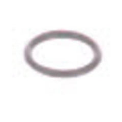 239054942.jpg