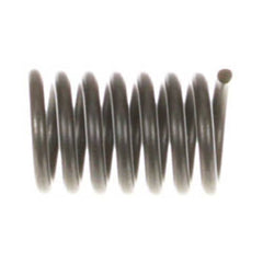 239055395.jpg