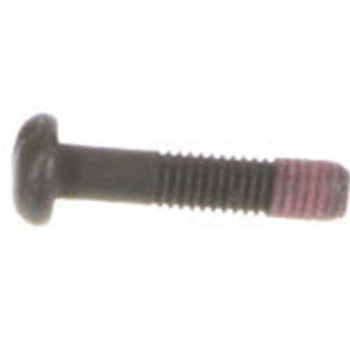 239055454.jpg