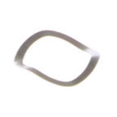 239055533.jpg