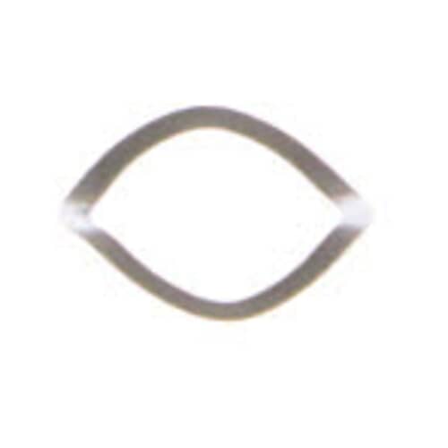 239055534.jpg