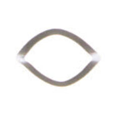 239055534.jpg