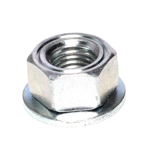 239055794.jpg