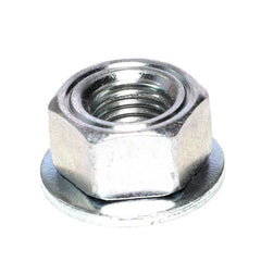 239055794.jpg