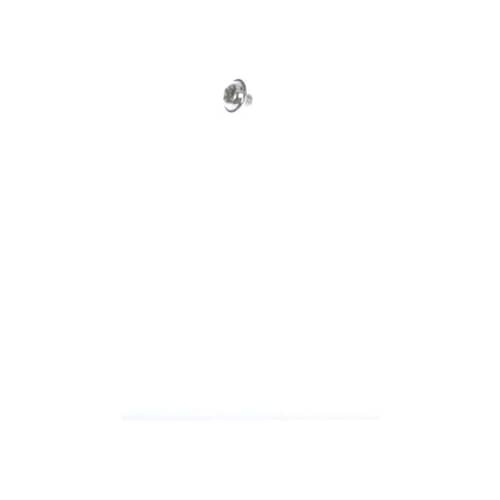 239055811.jpg