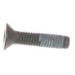 239055954.jpg
