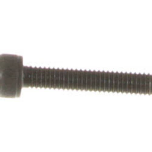 239055988.jpg