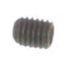 239056027.jpg