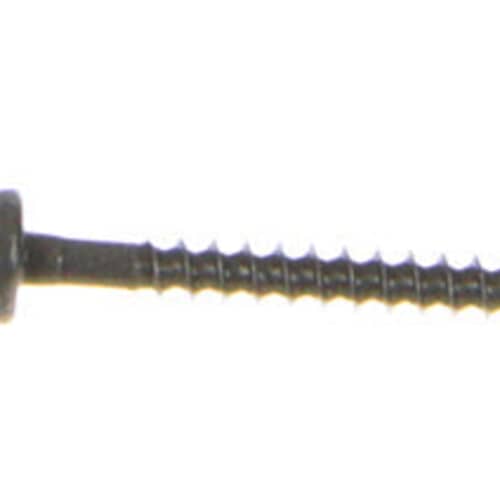 239056031.jpg
