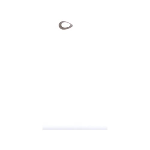 239056102.jpg