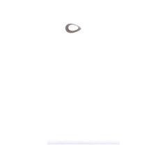 239056102.jpg