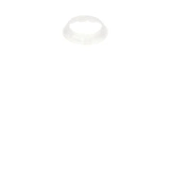 239057331.jpg