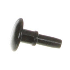 239059719.jpg