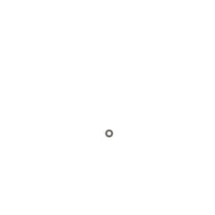239242491.jpg