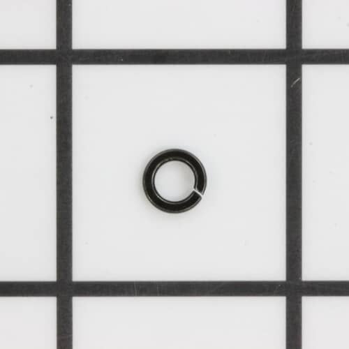 239242831.jpg