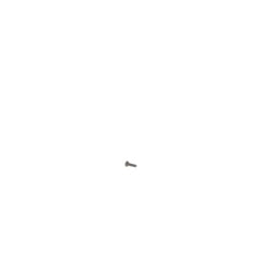239243190.jpg