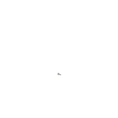 239243359.jpg