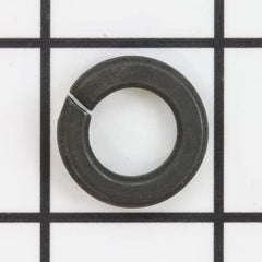 239243361.jpg