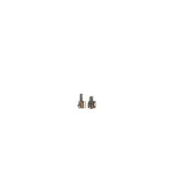 239244288.jpg