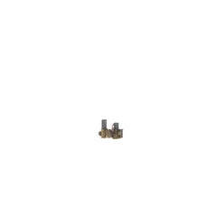 239244289.jpg