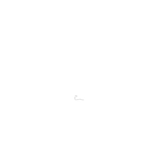 239245081.jpg