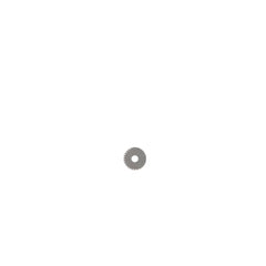 239245985.jpg