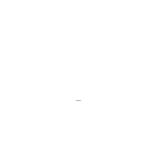 239246307.jpg