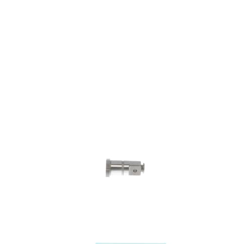 239246772.jpg