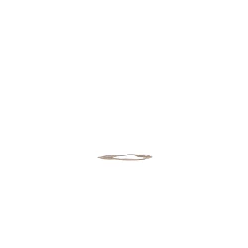239247715.jpg
