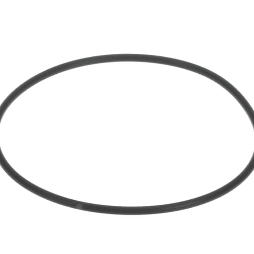 239387117.jpg