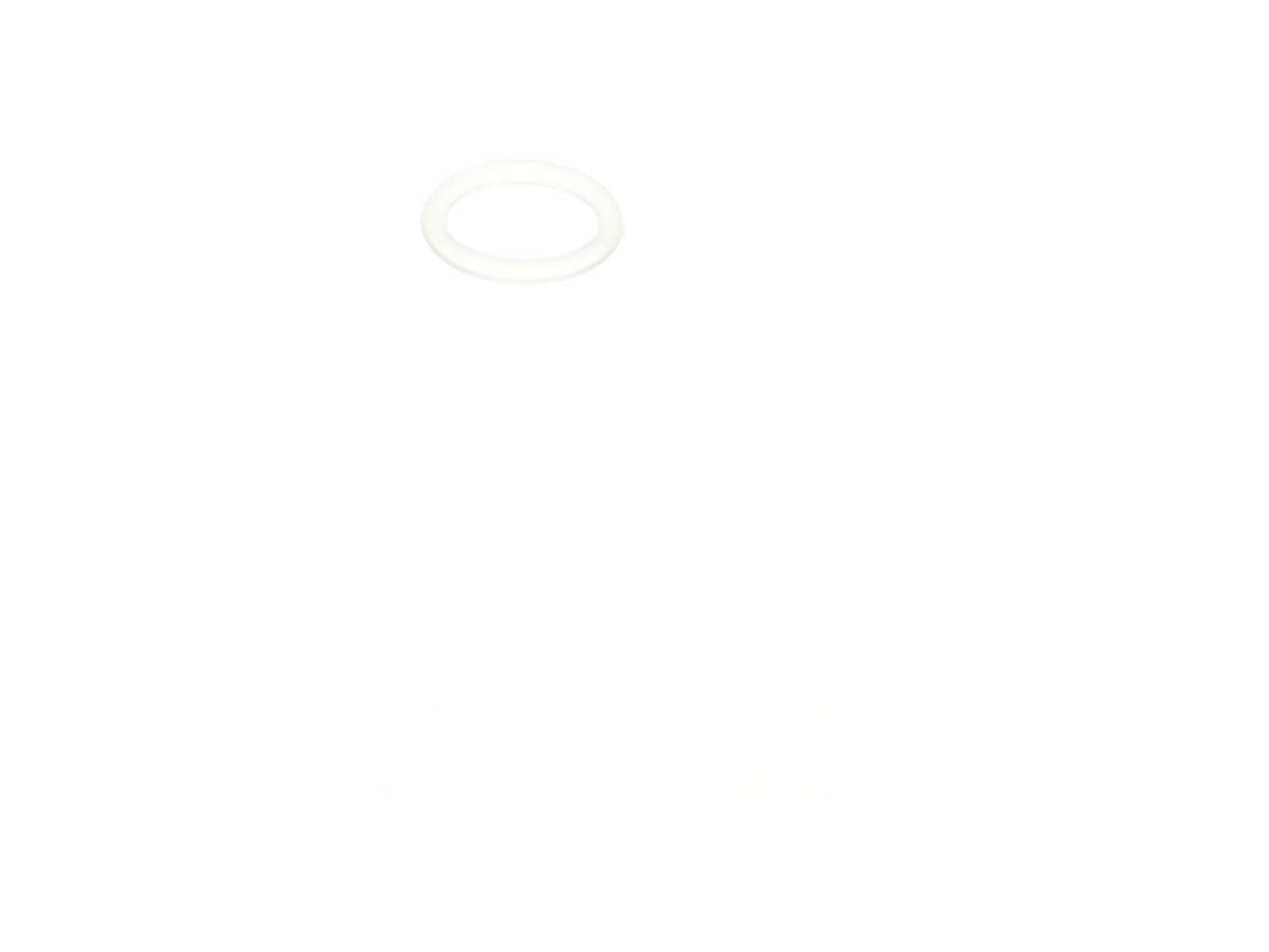 239409761.jpg